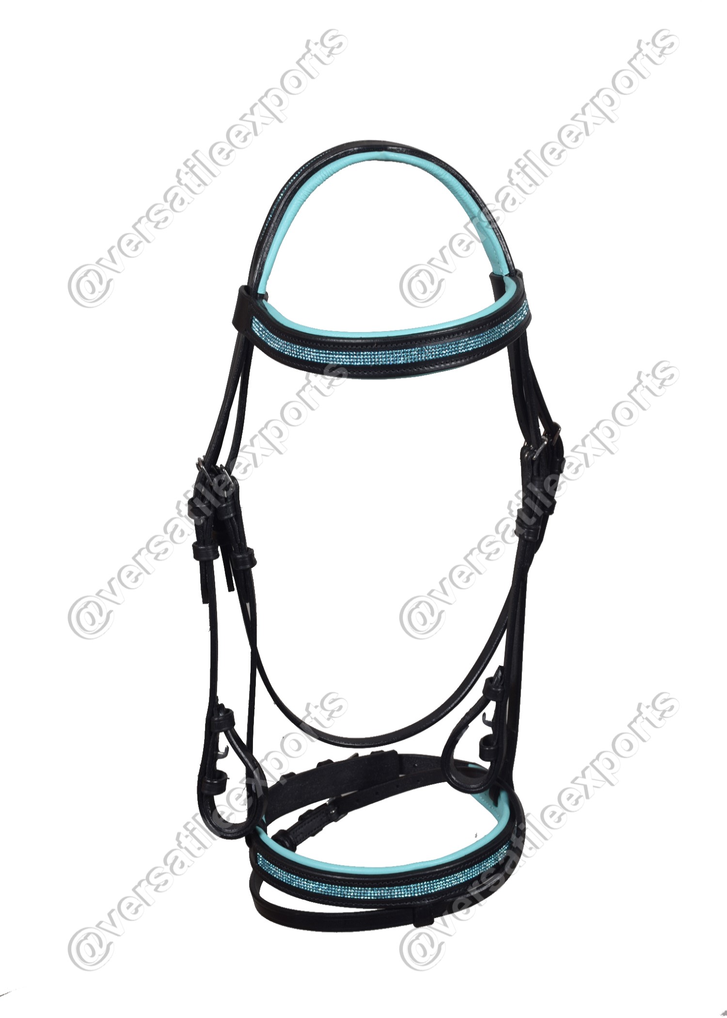 Bridle Shiny